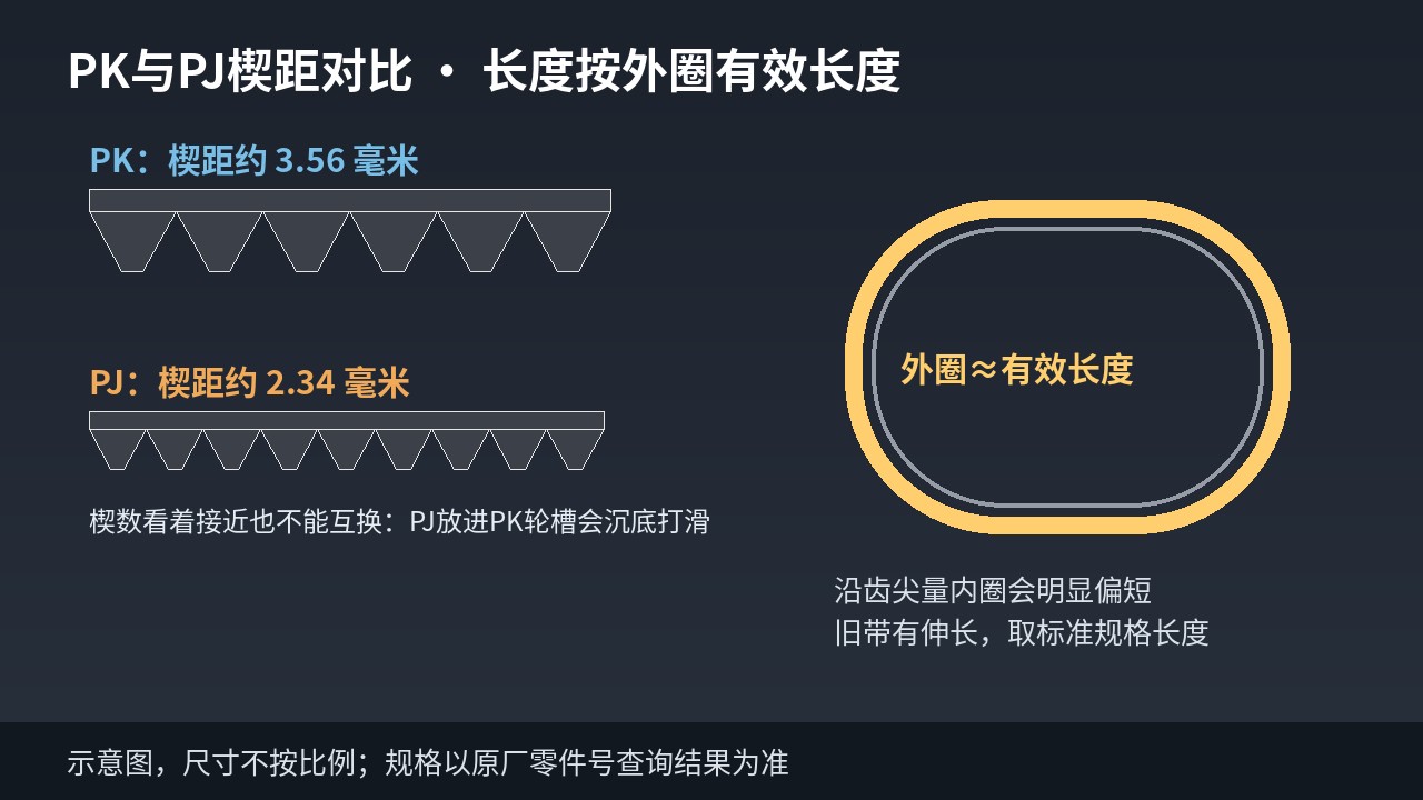 多楔带型号8PK1555含义示意图:楔数、PK齿型与有效长度